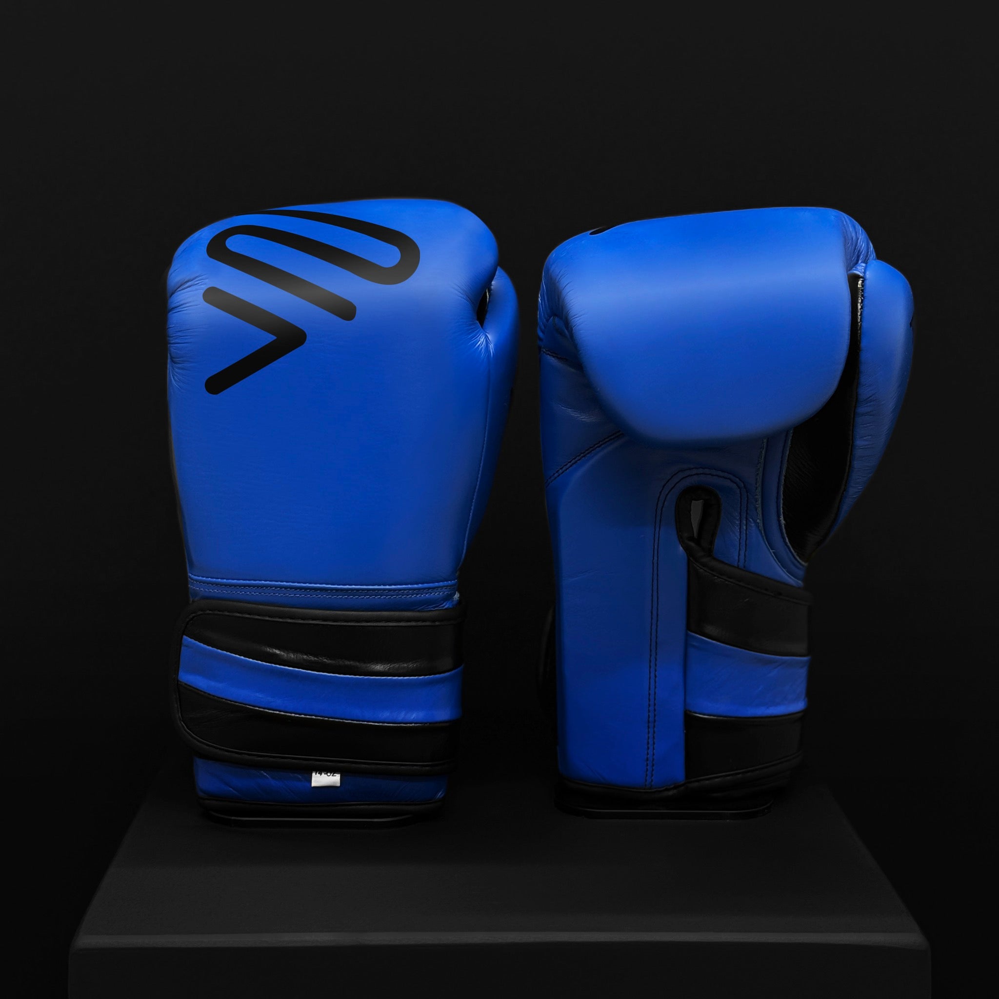 ACTIVI HL Boxing Training Gloves (Blue)