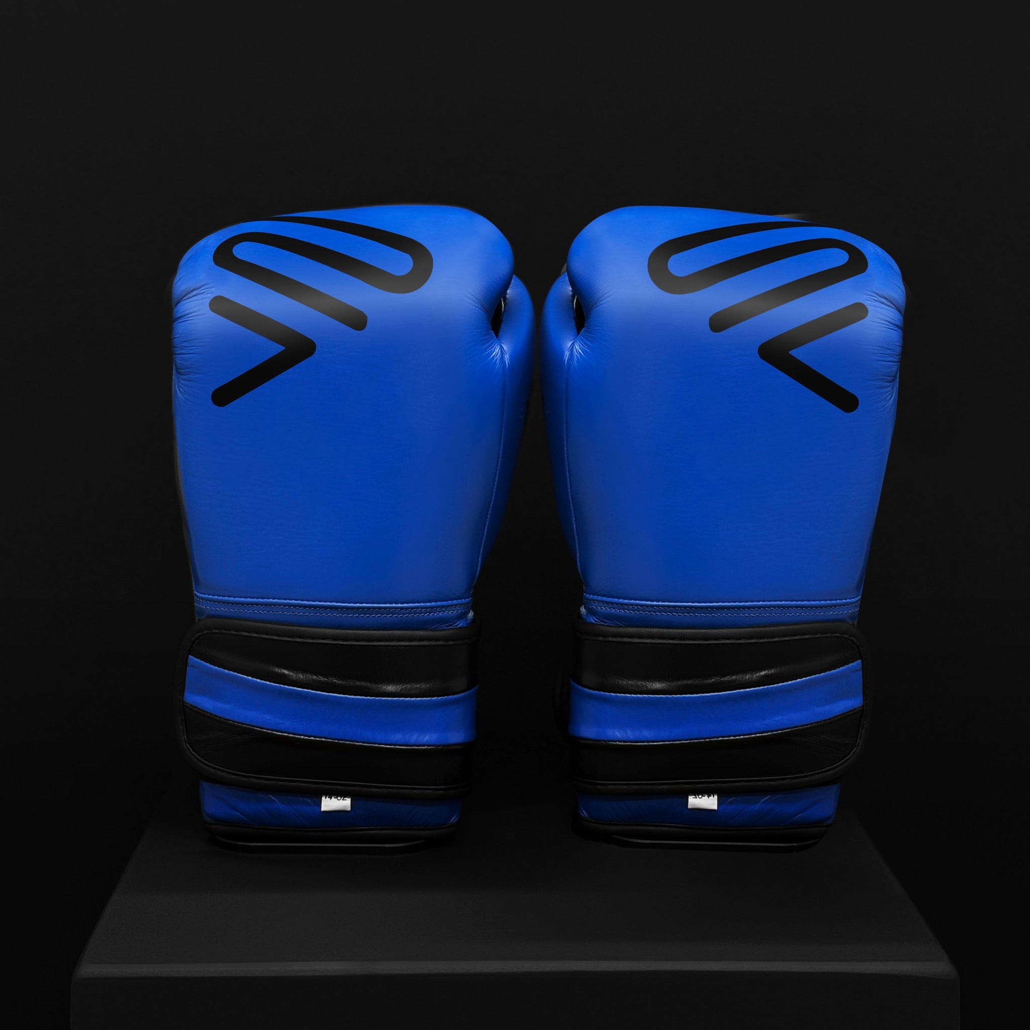 ACTIVI HL Boxing Training Gloves (Blue)