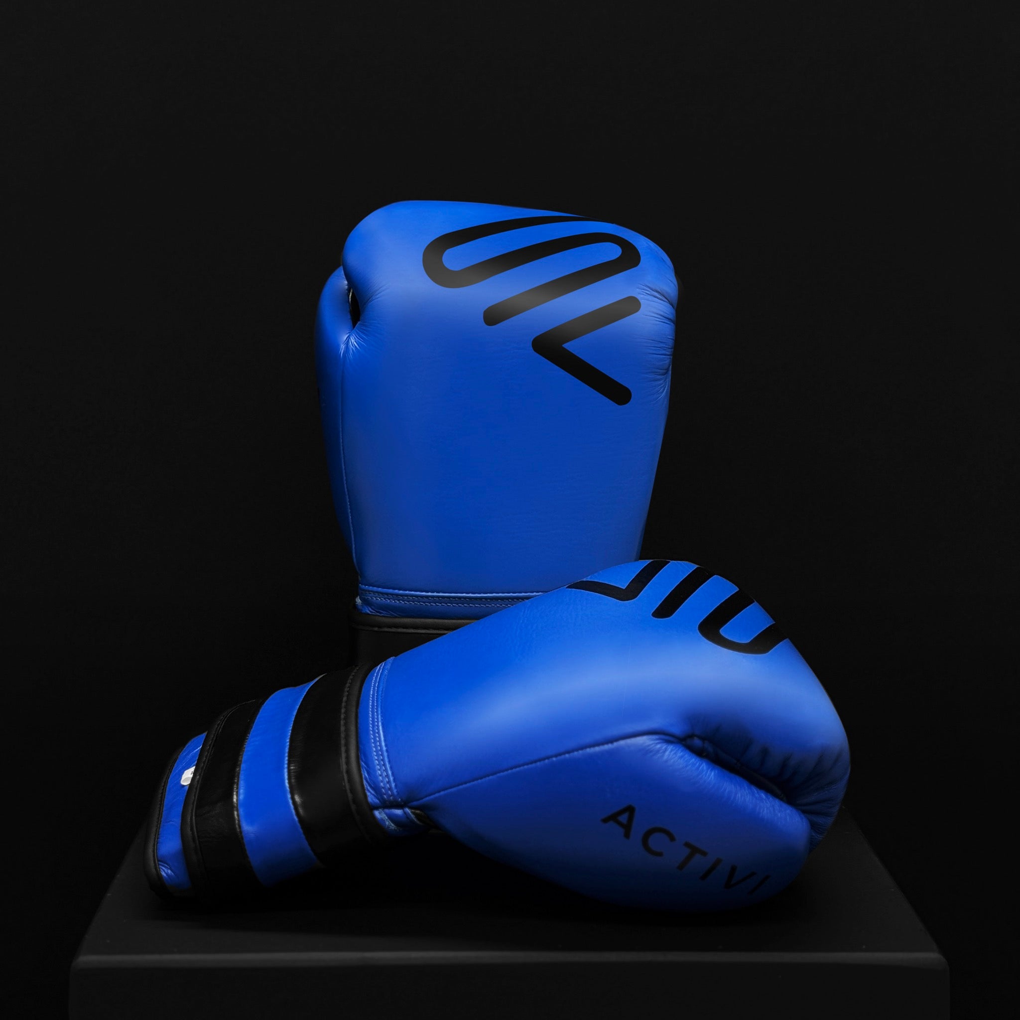 ACTIVI HL Boxing Training Gloves (Blue)