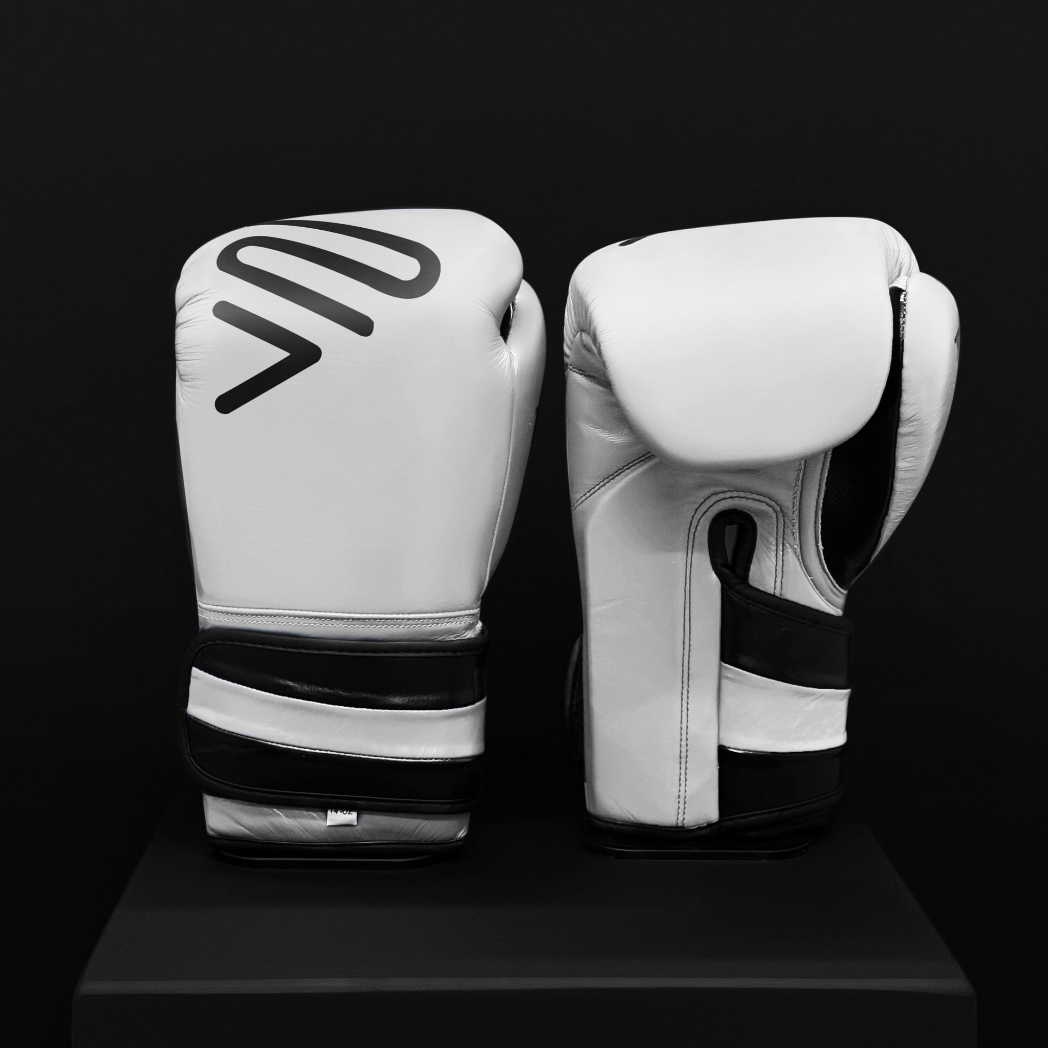 ACTIVI HL Boxing Training Gloves (White)
