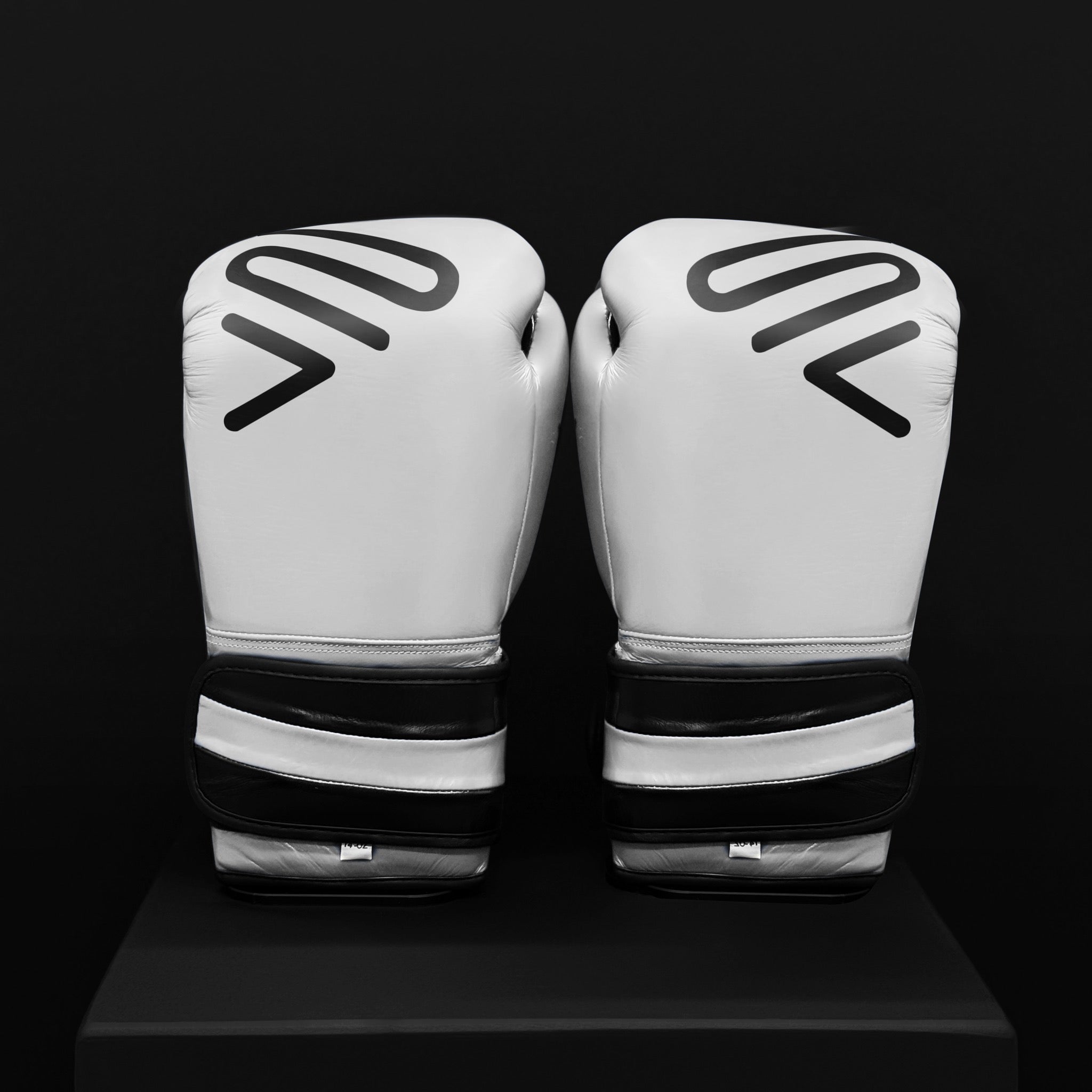 ACTIVI HL Boxing Training Gloves (White)