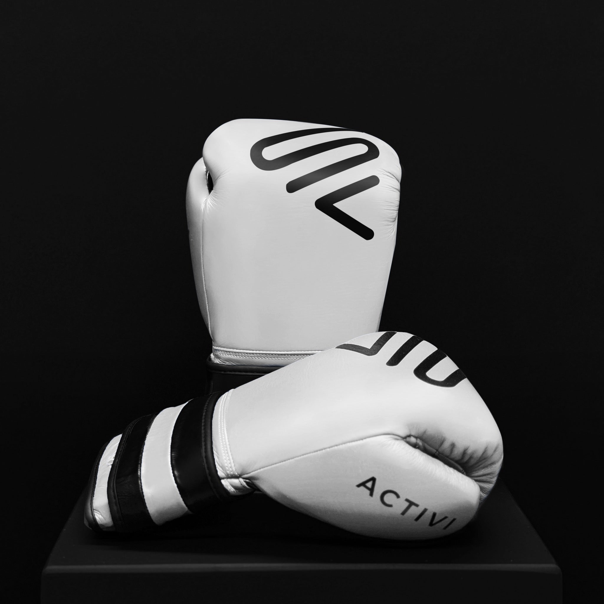 ACTIVI HL Boxing Training Gloves (White)