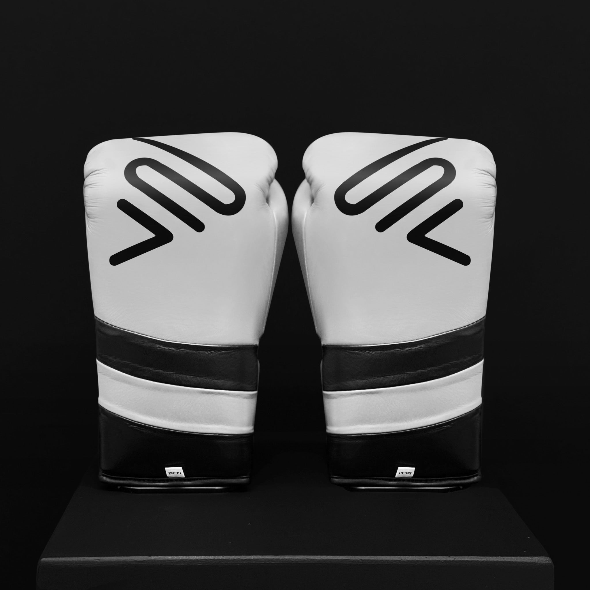 ACTIVI LU Boxing Training Gloves (White)