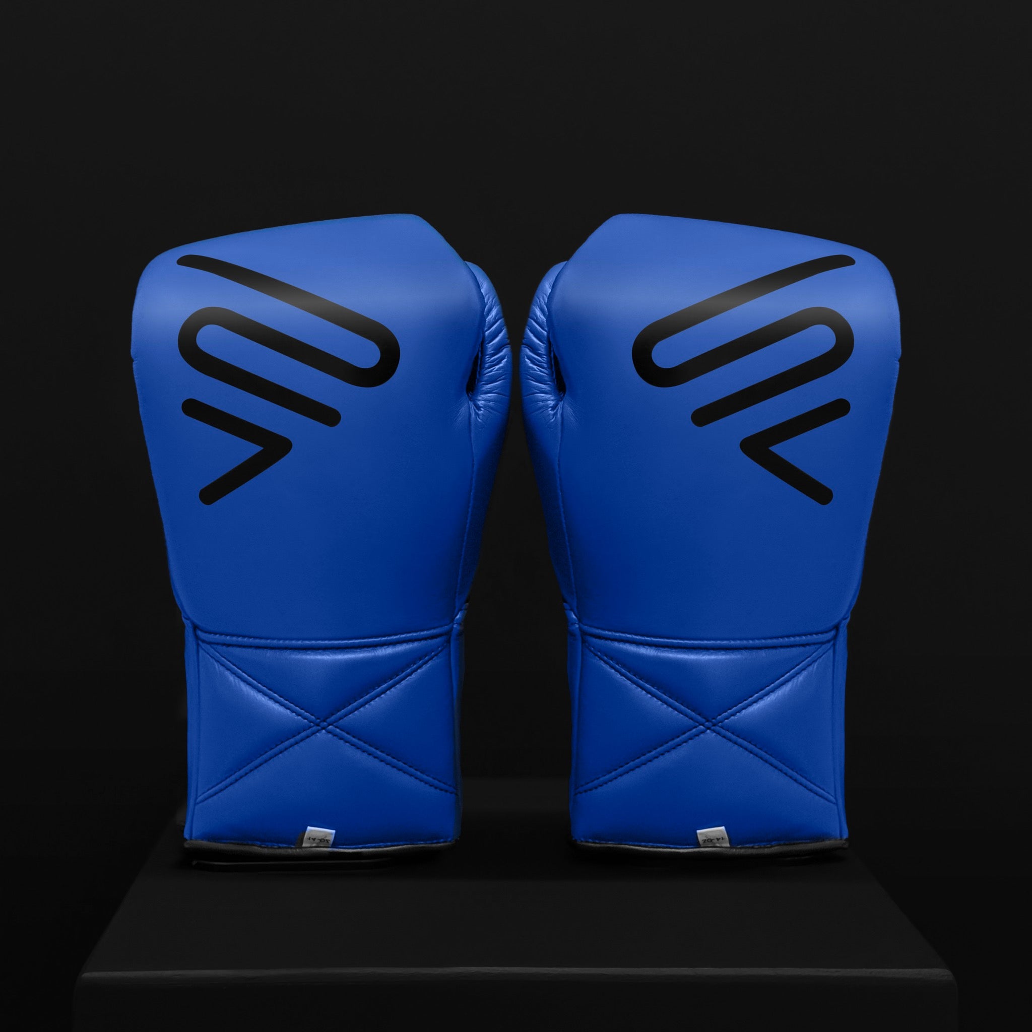 ACTIVI LX Boxing Sparring Gloves (Blue)