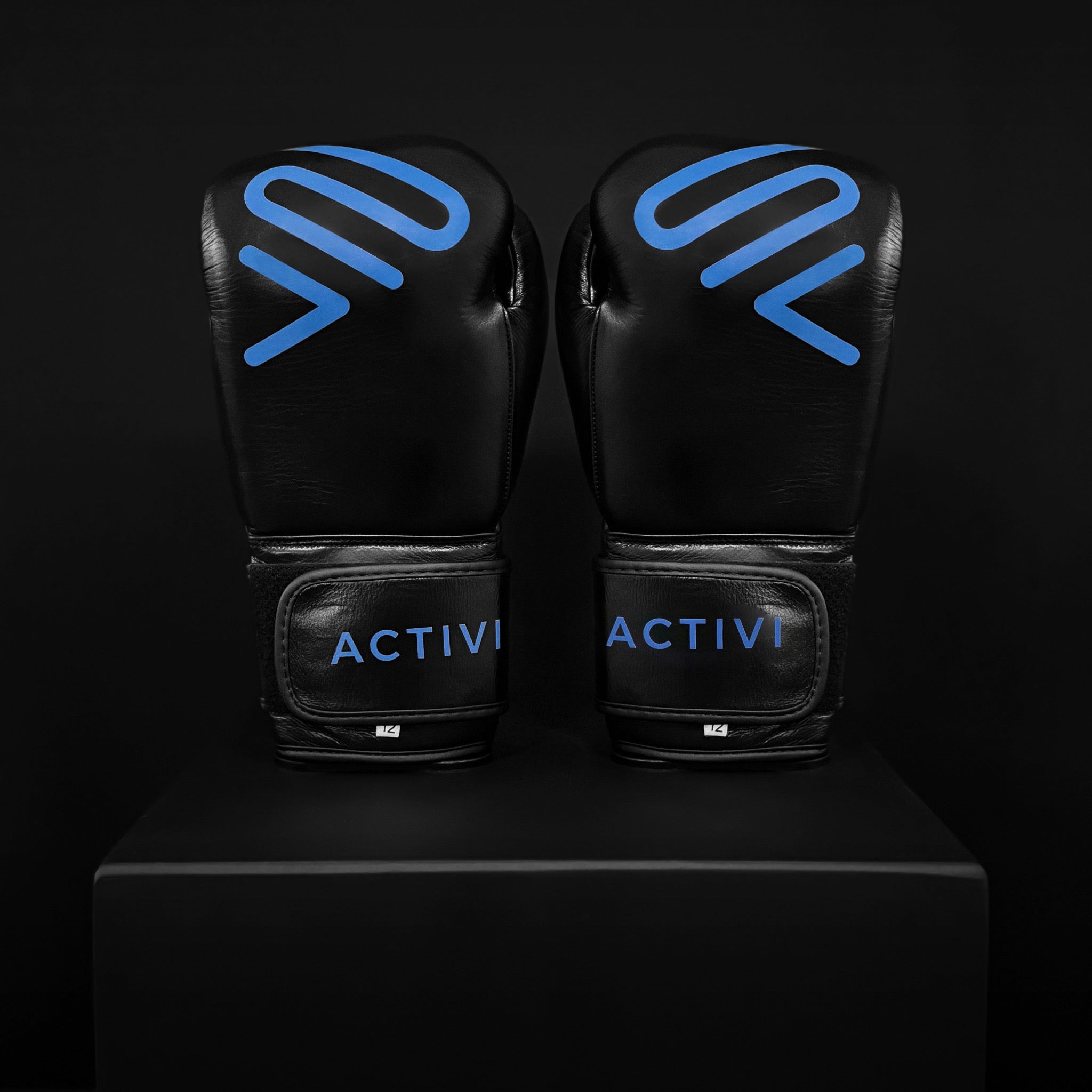 ACTIVI HL Boxing Training Gloves (Blue/Black)