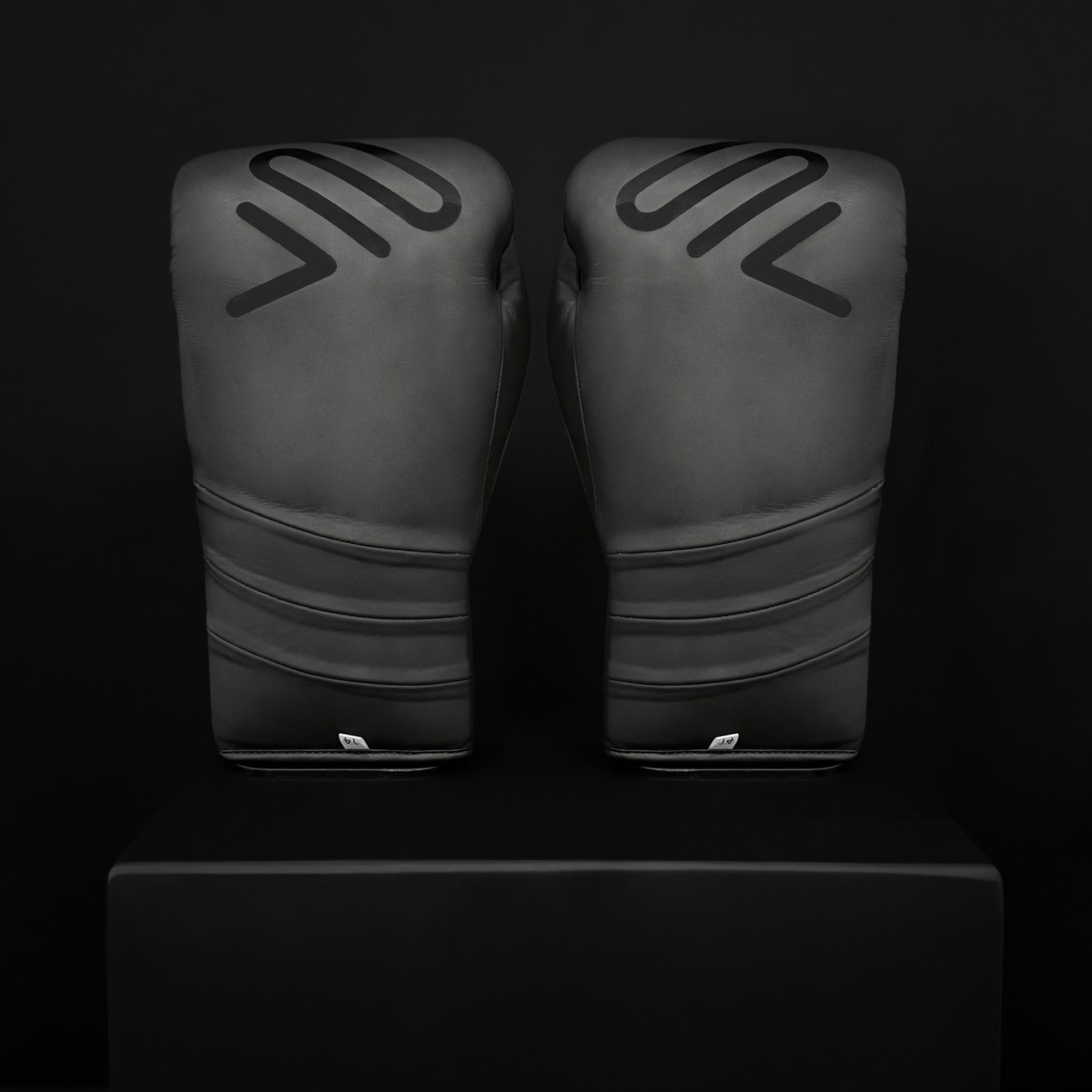 ACTIVI LU Boxing Training Gloves (Black)
