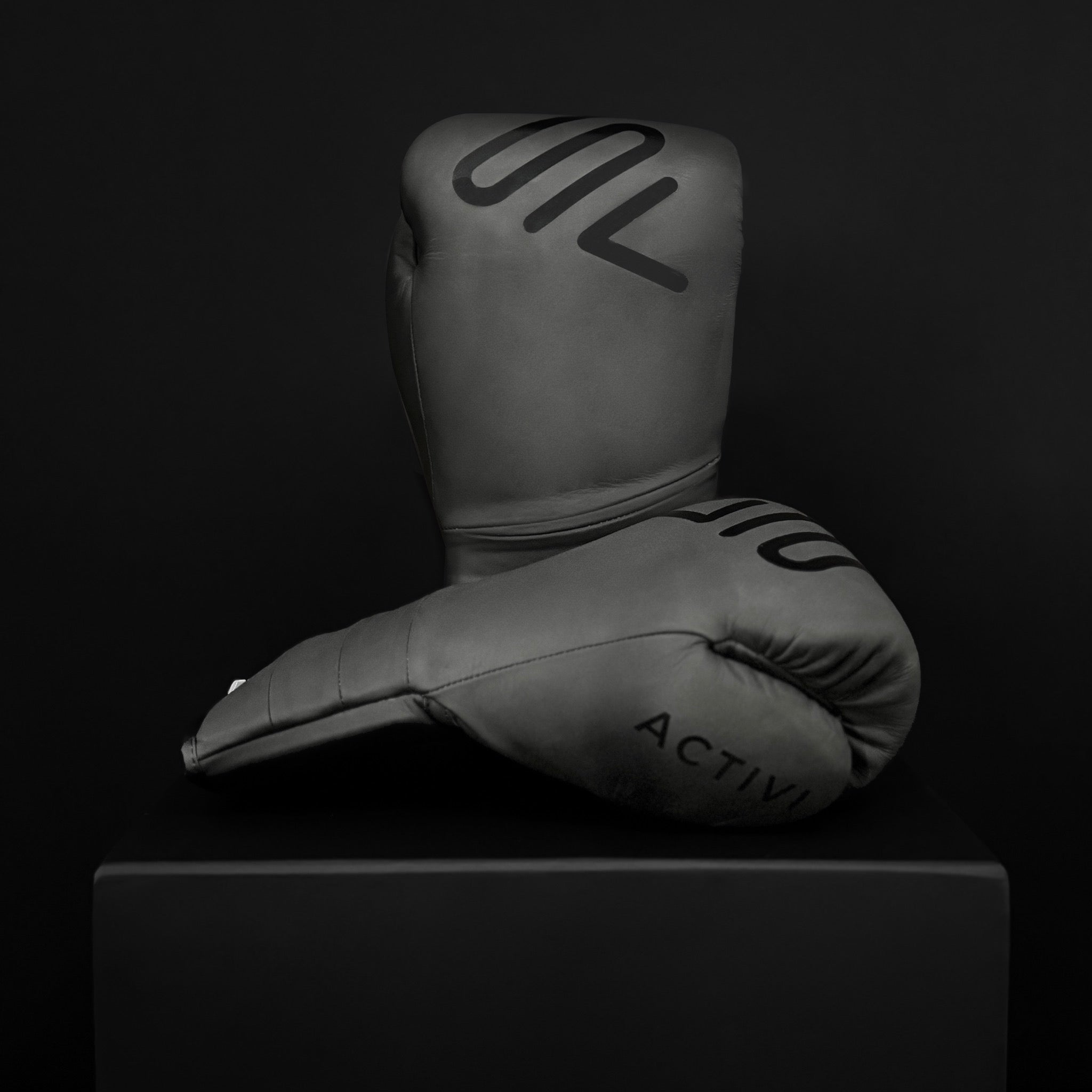 ACTIVI LU Boxing Training Gloves (Black)