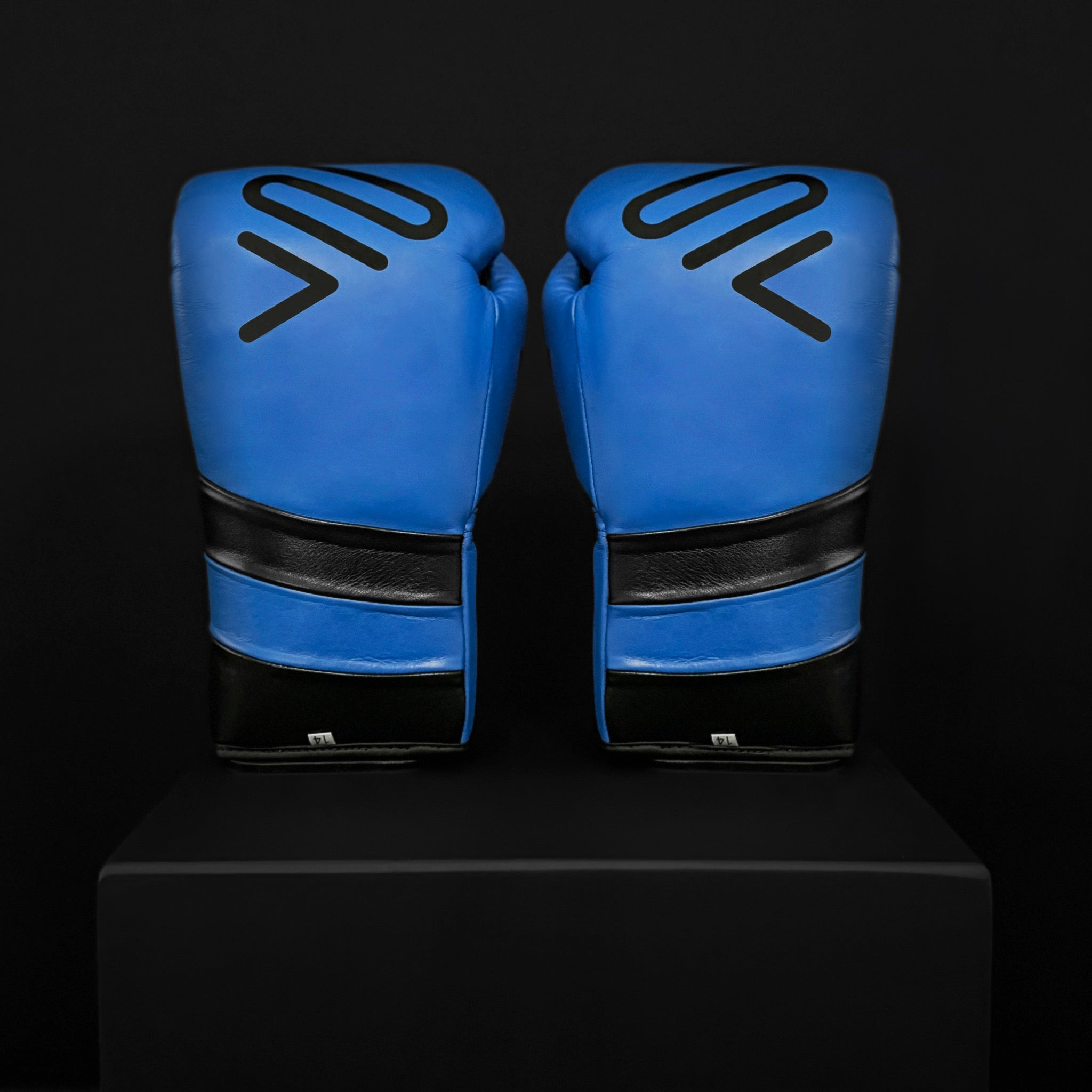 ACTIVI LU Boxing Training Gloves (Blue)