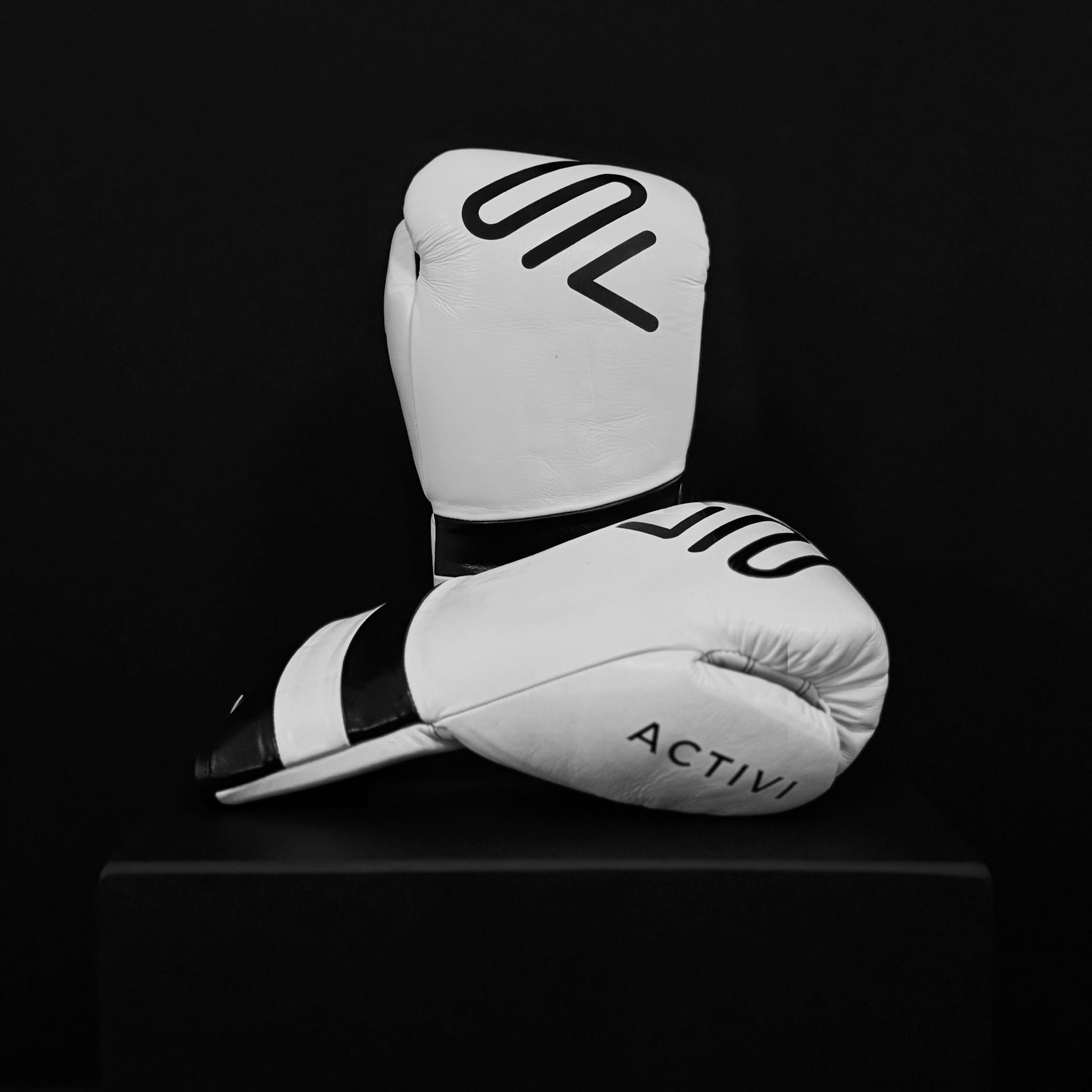 ACTIVI LU Boxing Training Gloves (White)