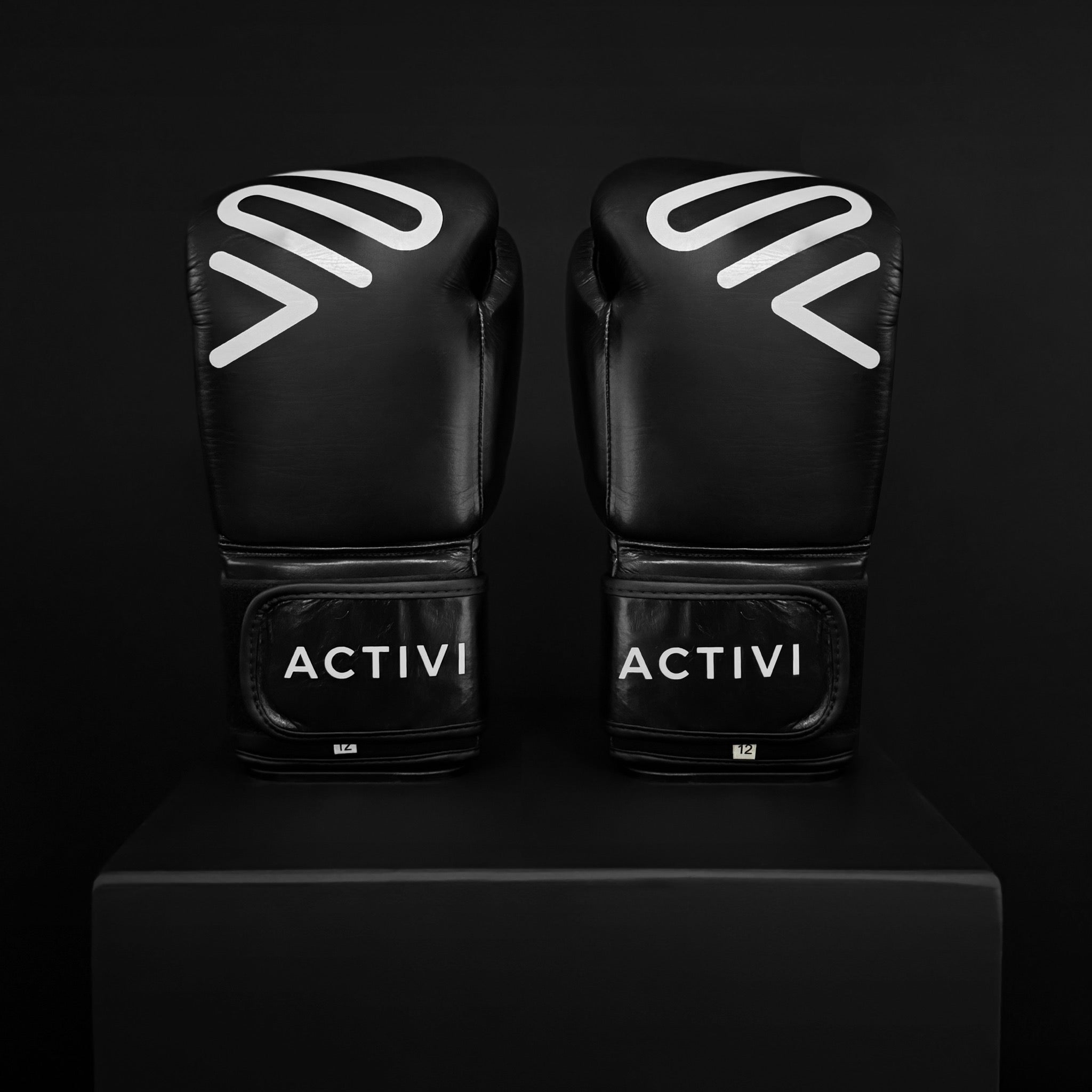 ACTIVI HL Boxing Training Gloves (White/Black)