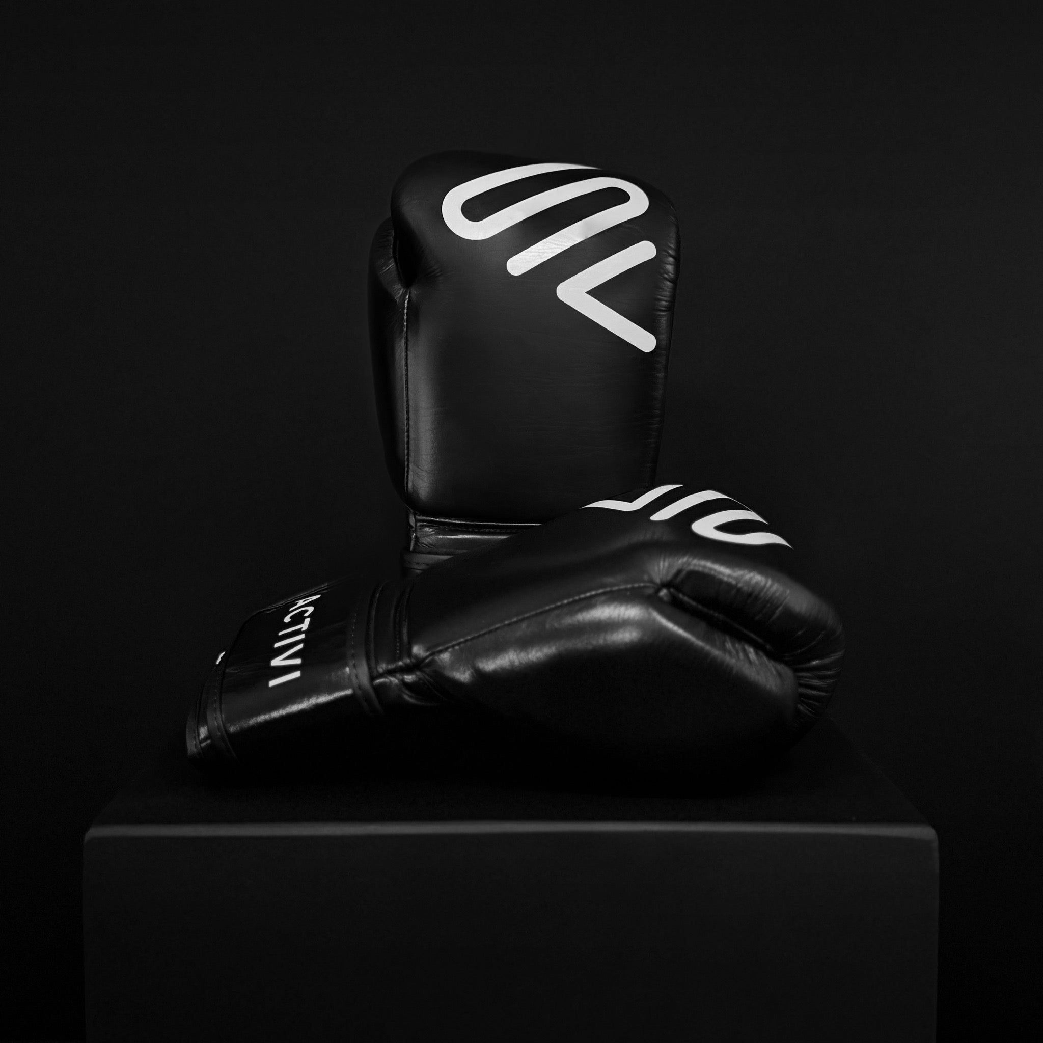 ACTIVI HL Boxing Training Gloves (White/Black)