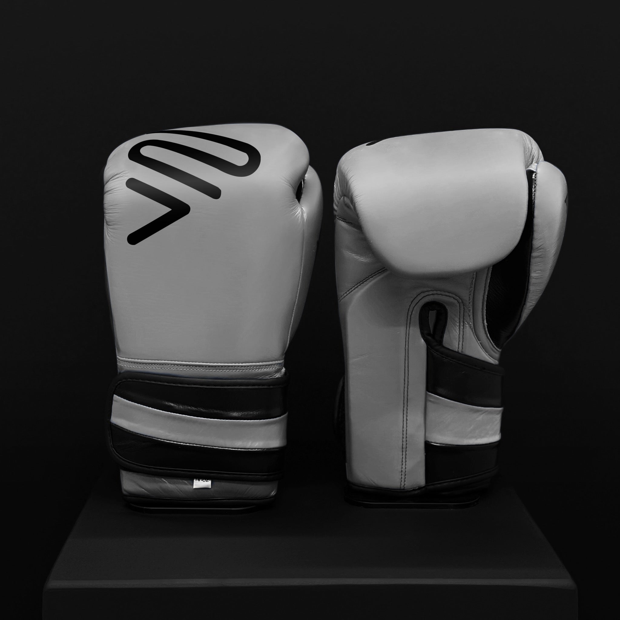 Team Tenshin Verdy Boxer Gloves Nasukawa | eBay