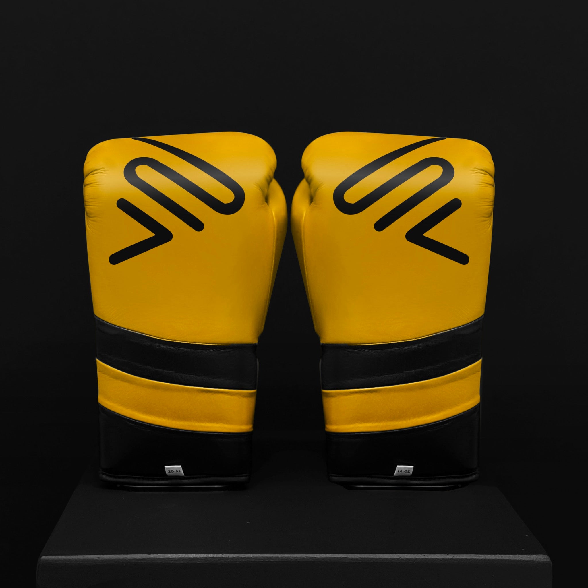 ACTIVI LU Boxing Training Gloves (Gold)
