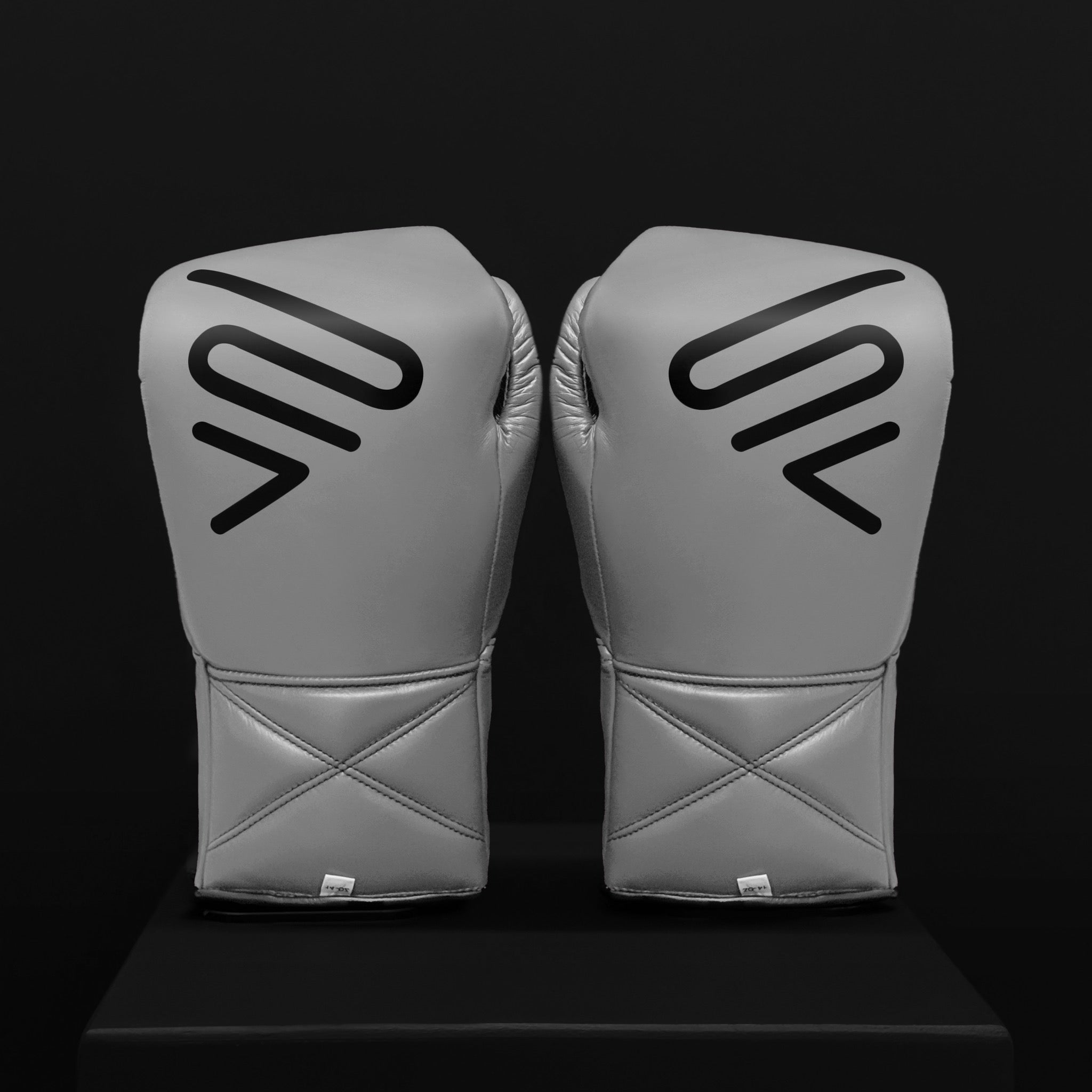 ACTIVI LX Boxing Sparring Gloves (Silver)