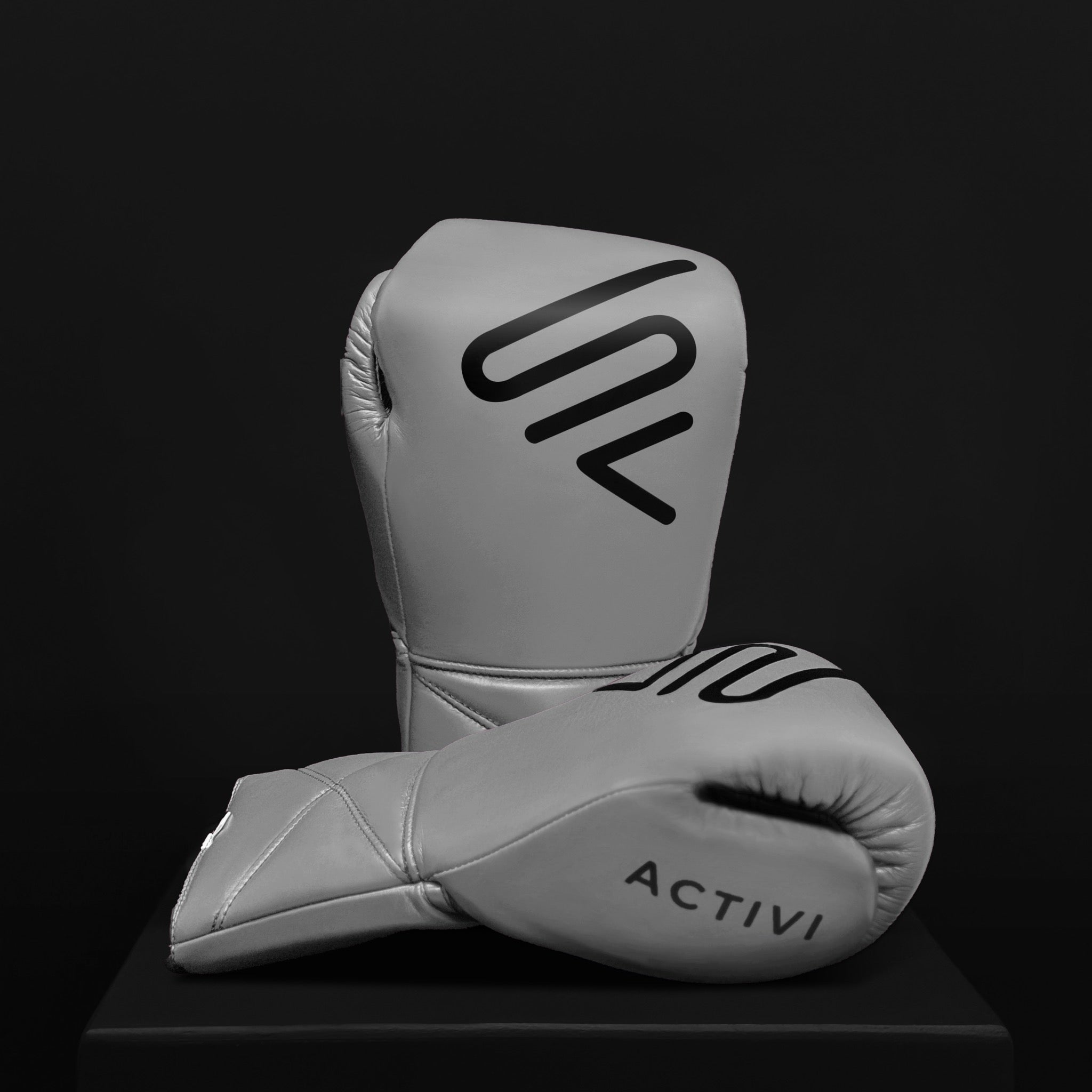 ACTIVI LX Boxing Sparring Gloves (Silver)